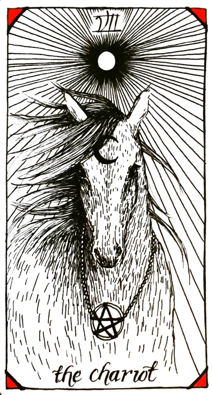 The Chariot - The Wild Unknown